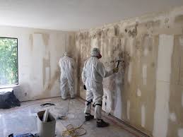 Best Forensic Mold Investigation  in Ripon, WI